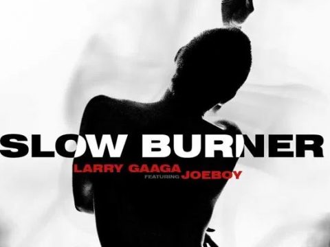 Larry Gaaga – Slow Burner ft. Joeboy