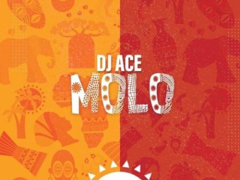DJ Ace - Molo