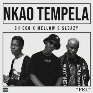 Chicco Nkao Tempela Mp3 Download