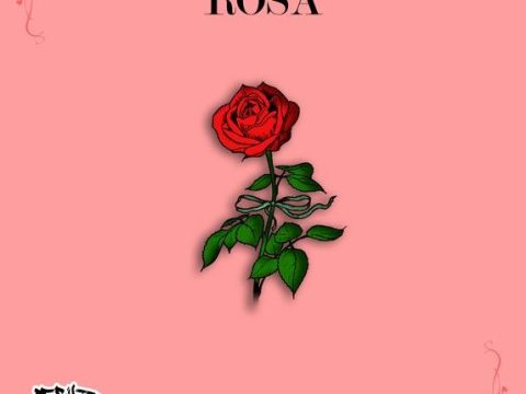 Peruzzi – Rosa