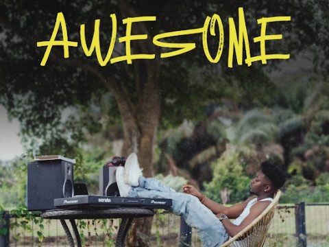 DJ Shawn – Awesome (Album)
